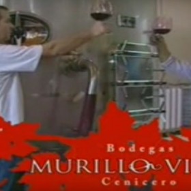 Anuncio Tv Murillo Viteri