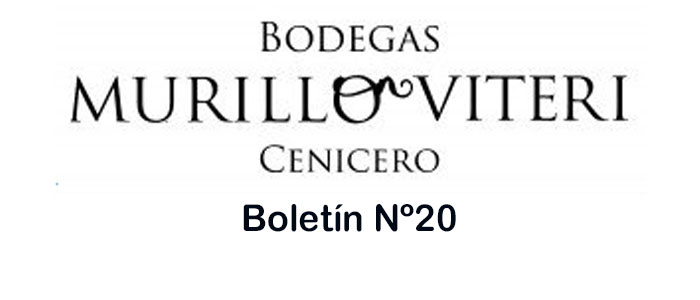 Boletin20 Murillo Viteri