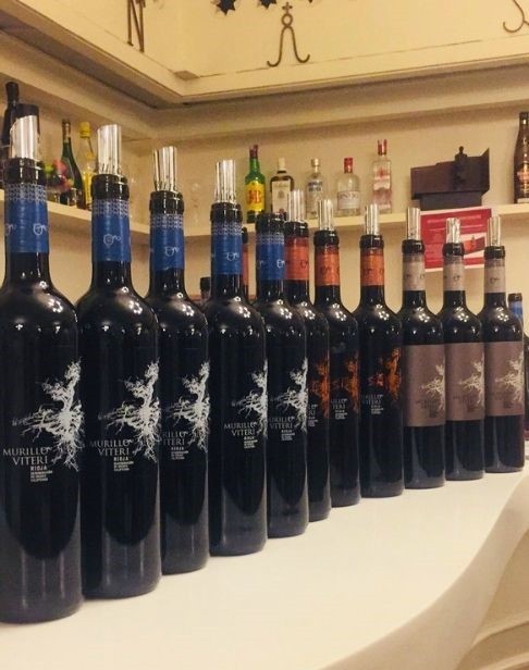 Cata de vino tinto Murillo Viteri