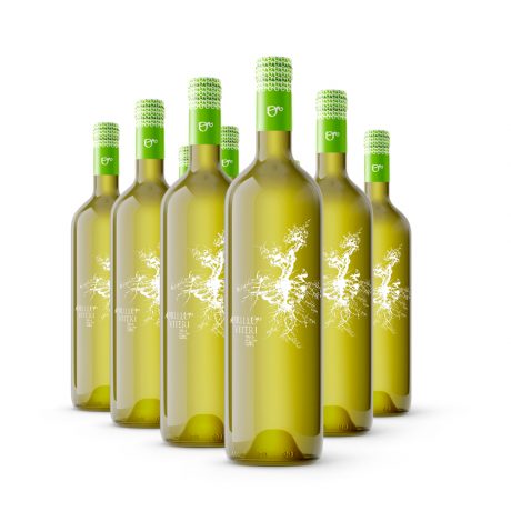 12 botellas vino blanco Murillo Viteri