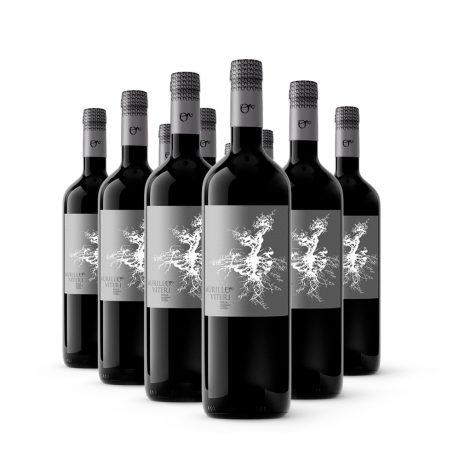 12 Botellas Vino D.o. Rioja Reserva