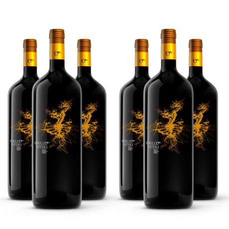 6 Botellas Magnum Rioja Crianza Murillo Viteri