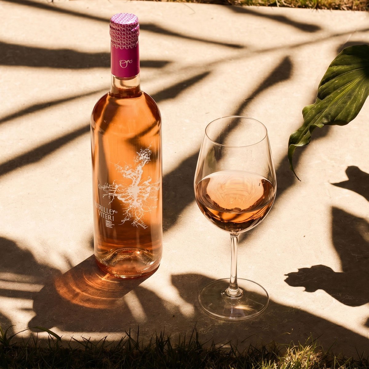 Vino Rosado al atardecer