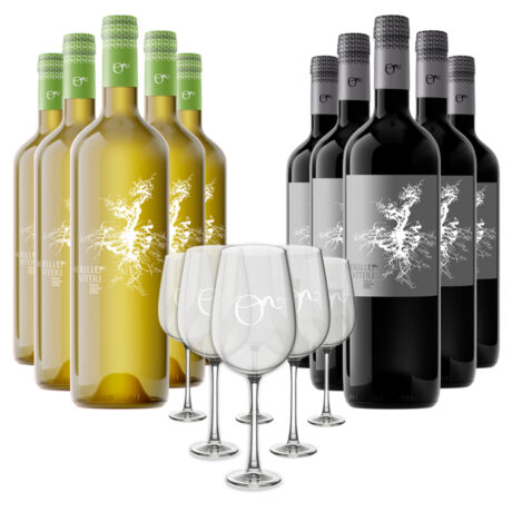 Pack especial de vino con copas