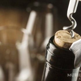 Cómo descorchar una botella de vino