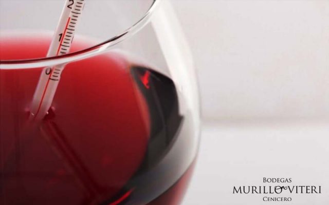 Temperatura ideal vino tinto