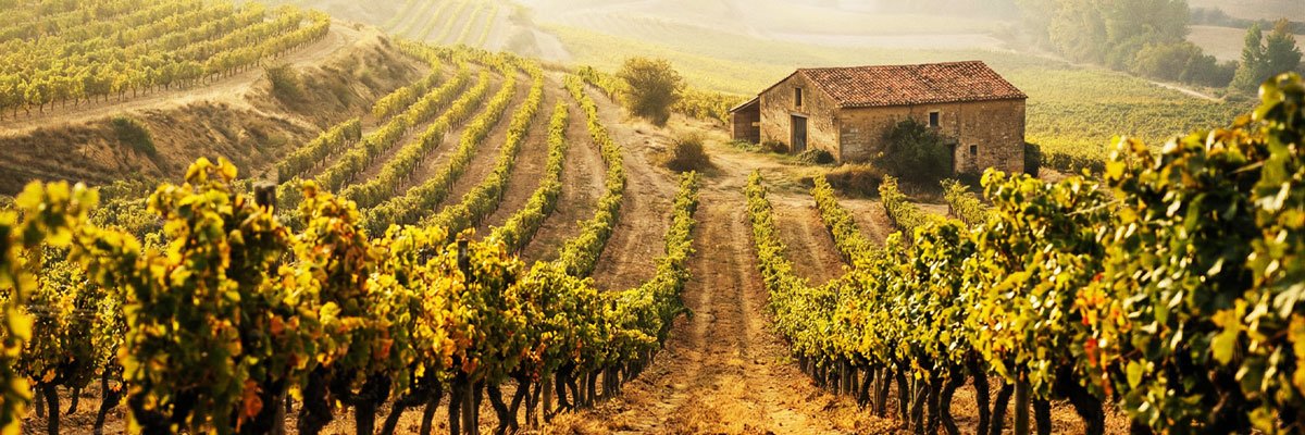 Viñedos de Rioja Alta en España