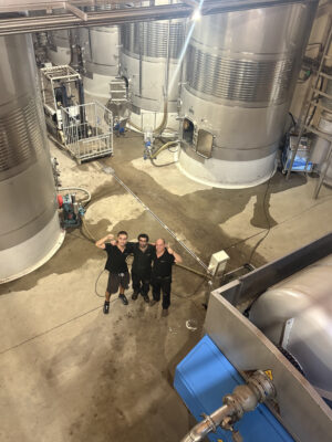 Equipo de bodega durante la vendimia 2026 entre depósitos de vino.